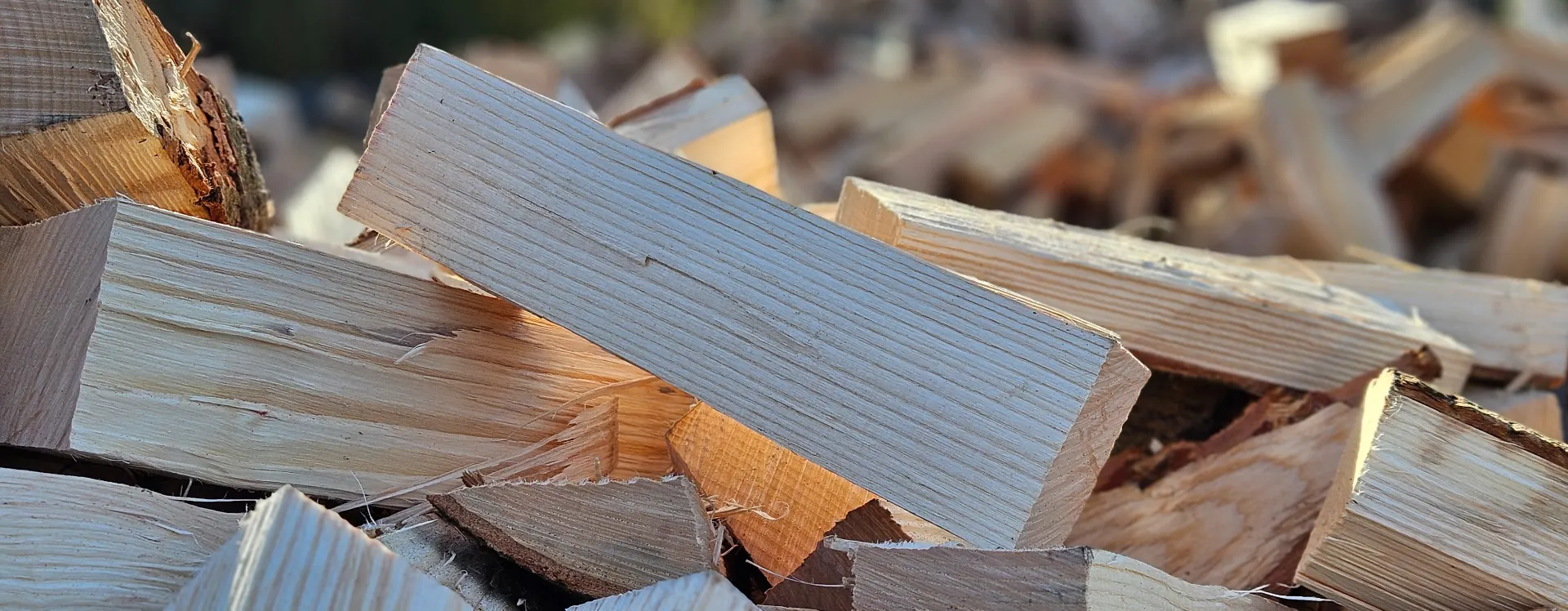 Nahaufnahme sauber gespaltener heller Holzscheite mit sichtbarer Faserstruktur