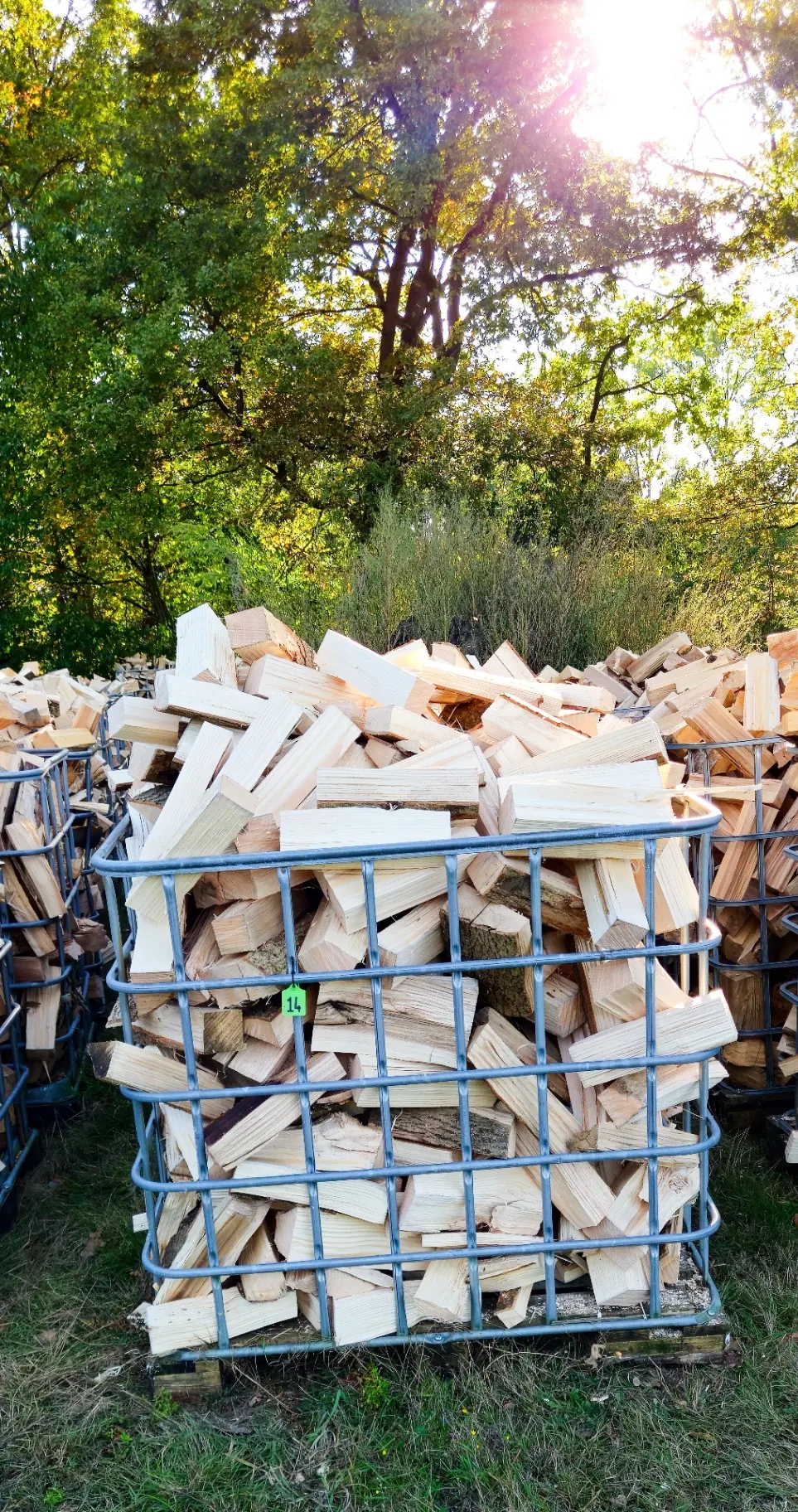 Gefüllte Gitterbox mit gespaltenem Brennholz, sonnige Baumkulisse